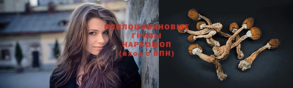 марихуана Нефтекумск