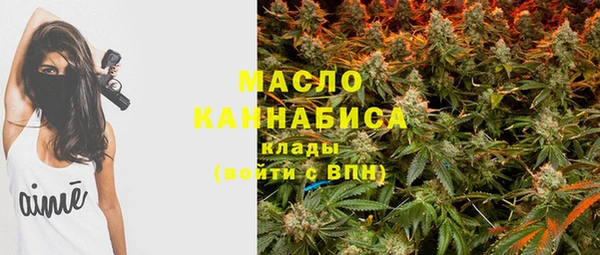 тгк Нея