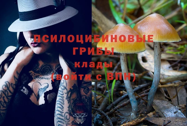 тгк Нея