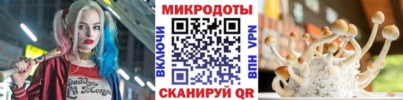Псилоцибиновые грибы Psilocybine cubensis  Тогучин 